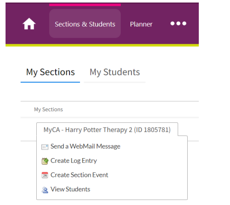 How do I create a section log entry?
